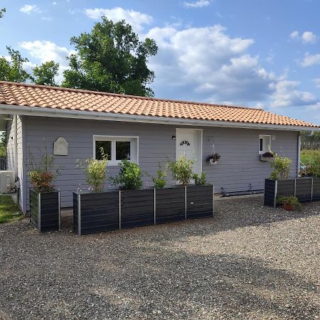 Family House Carcanaise Carcans Exteriör bild