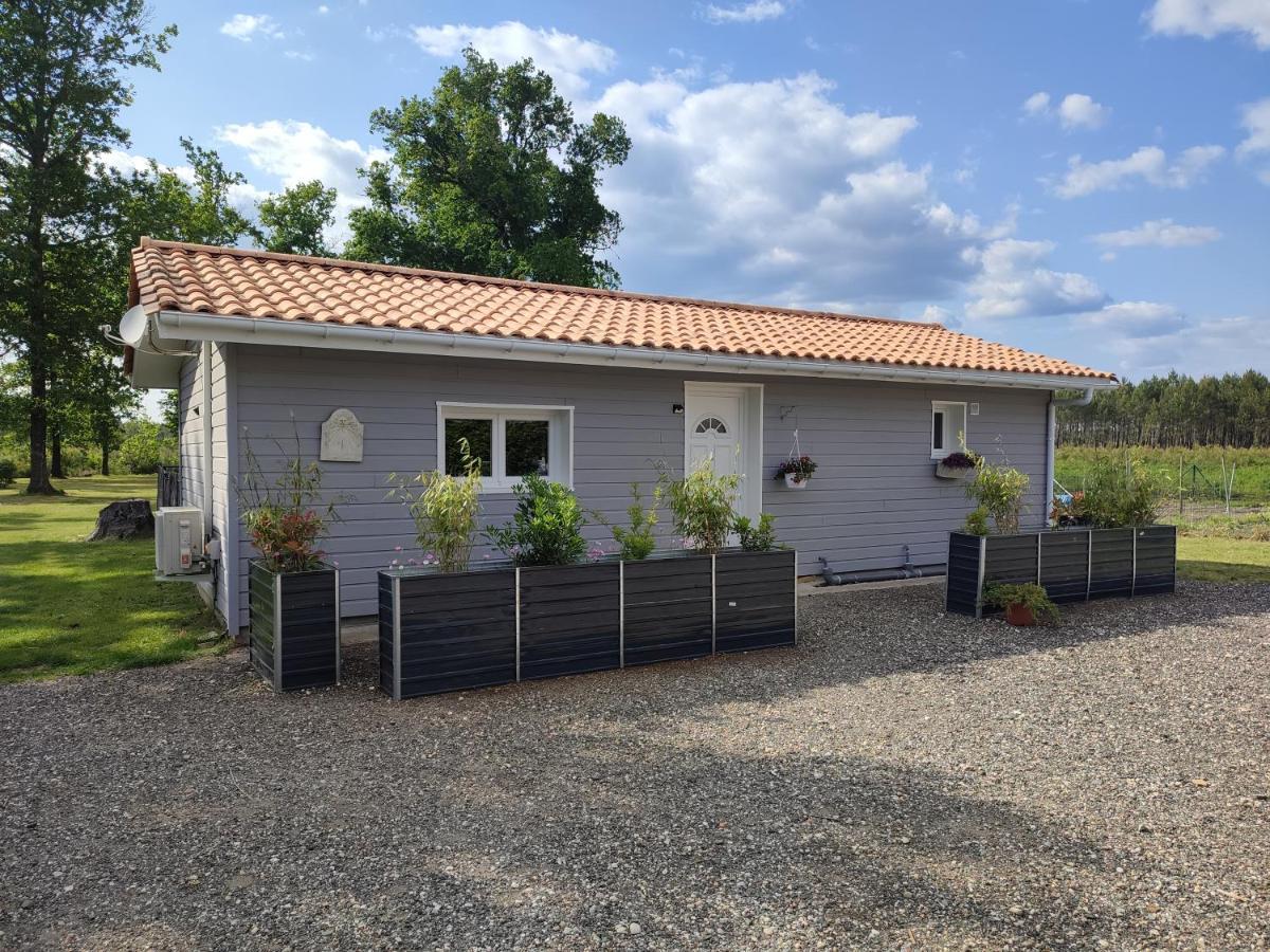 Family House Carcanaise Carcans Exteriör bild